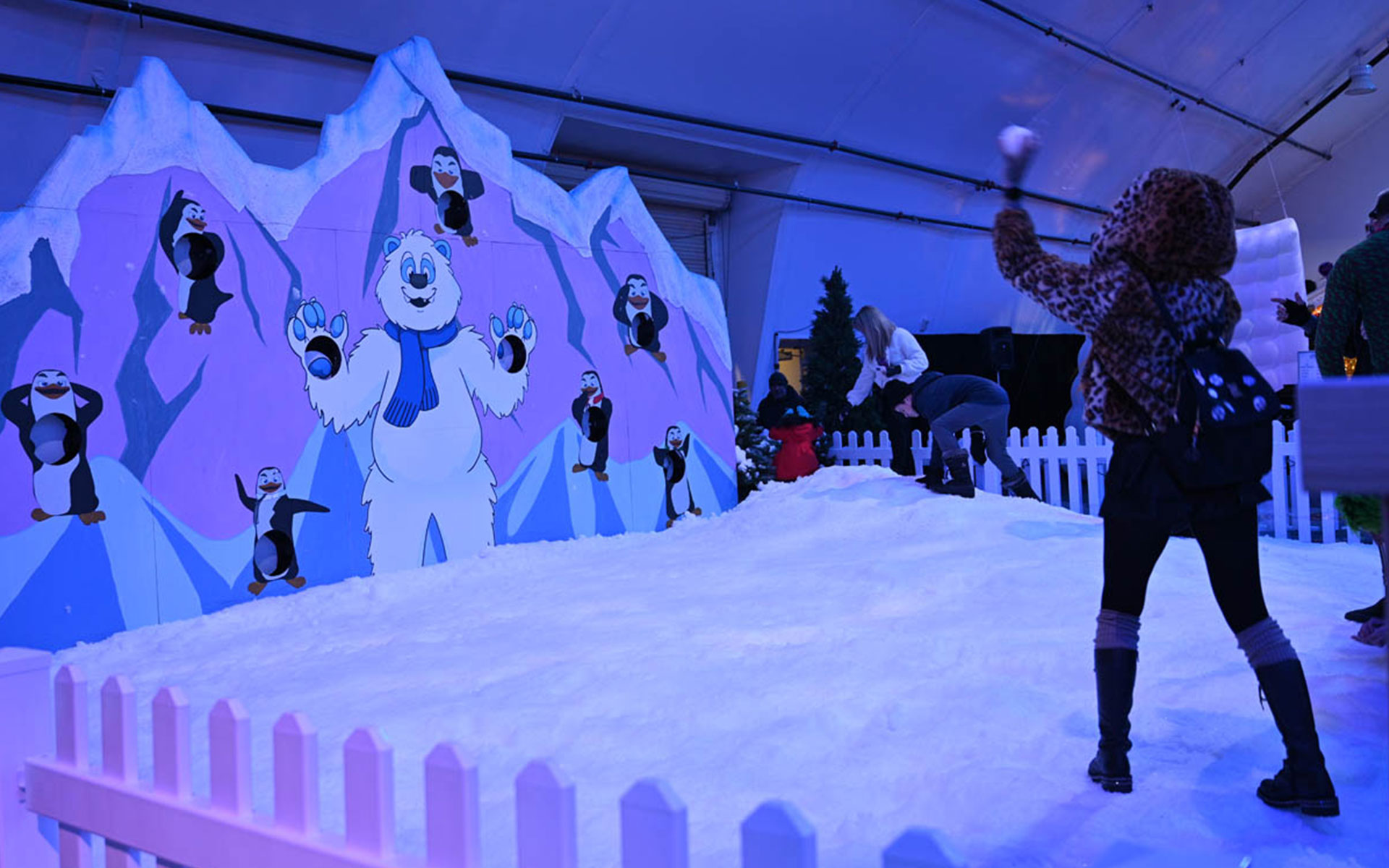 Ice and snow entertainment area featuring immersive winter attractions and recreational activities for visitors.